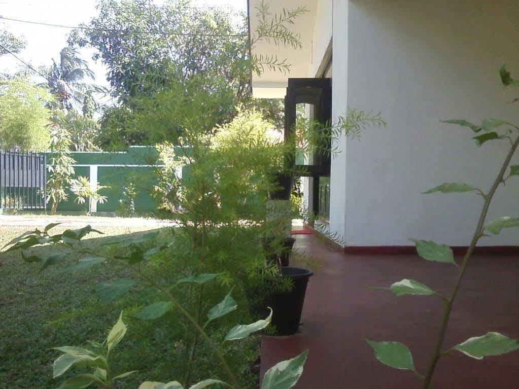 Mazz Homestay Negombo Exterior foto