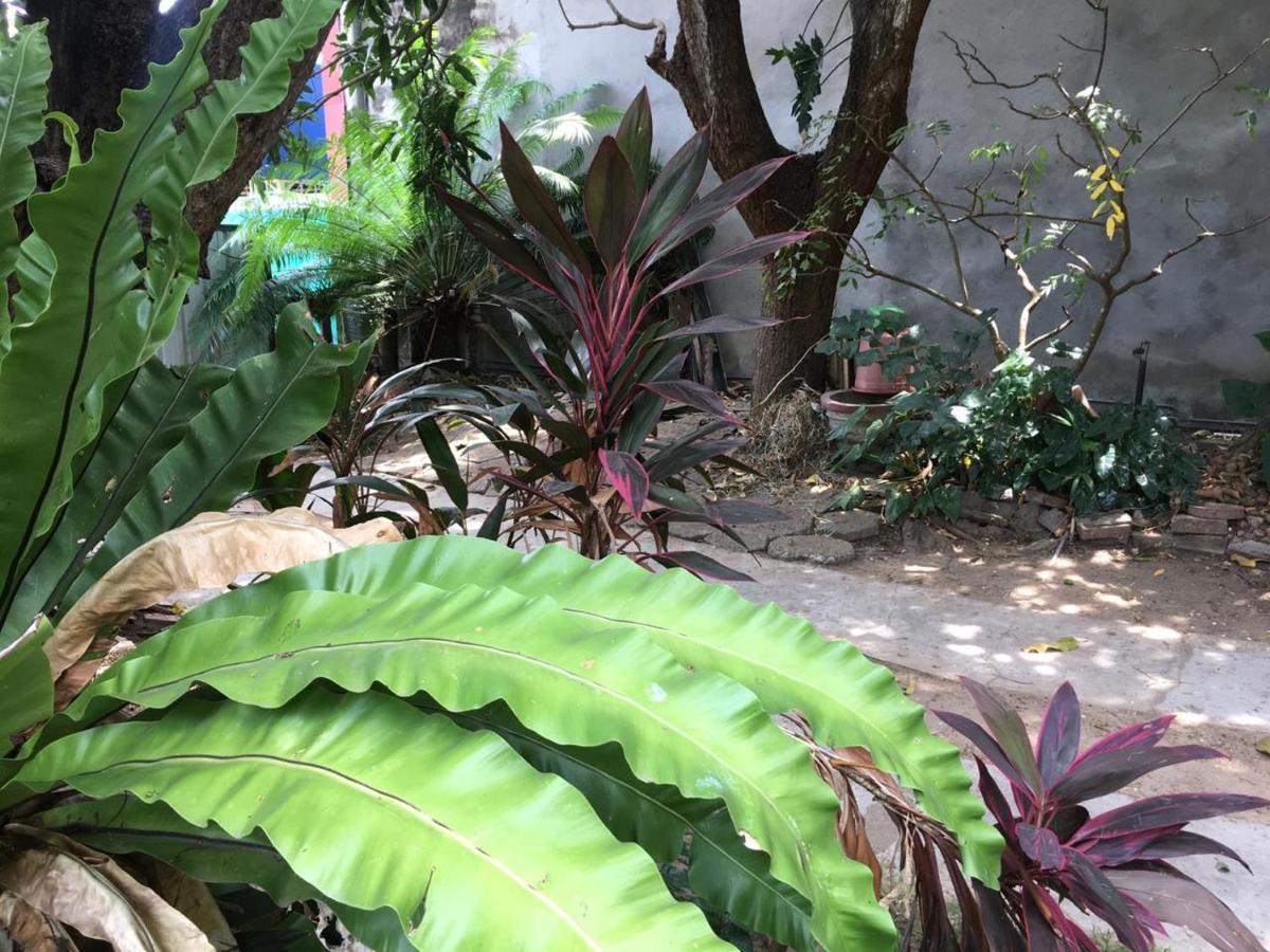 Mazz Homestay Negombo Exterior foto
